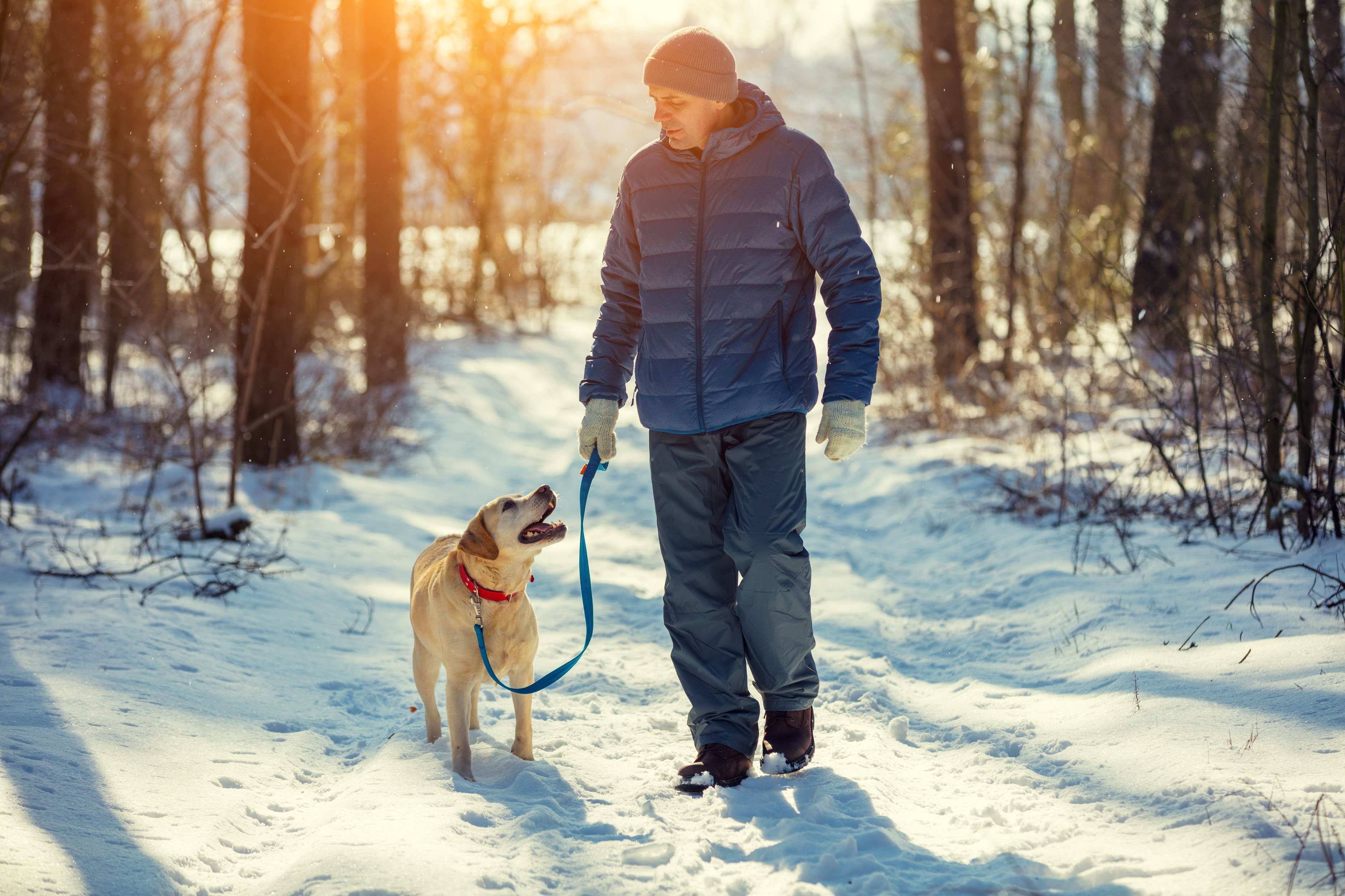 Now that Dan spends little time managing his care, he can enjoy an early morning walk with his dog.