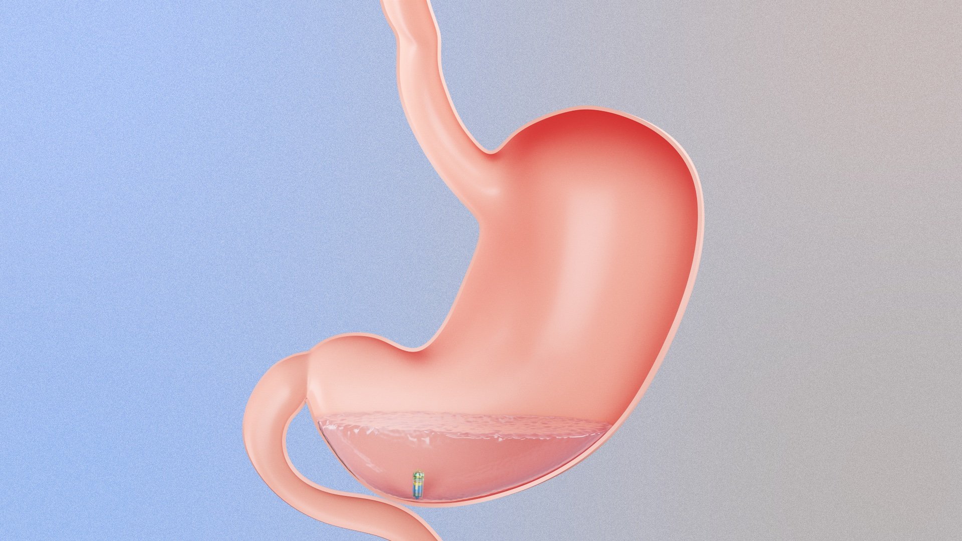 Once ingested, InjectTab positions itself against the stomach to prepare for an internal injection.